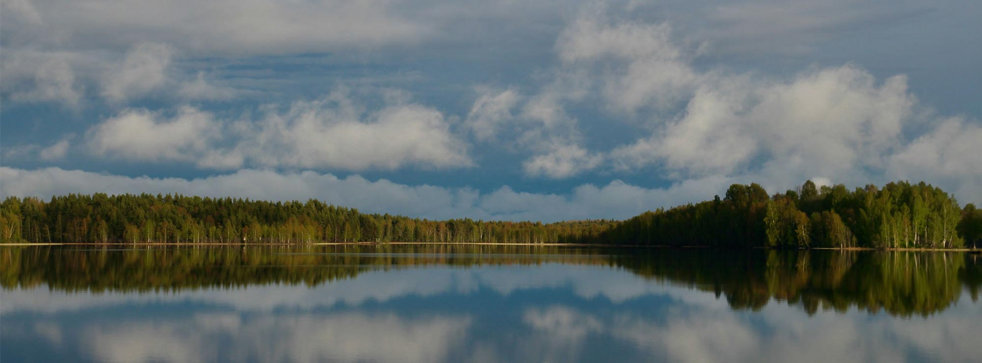 Naturbild på vatten och skog
